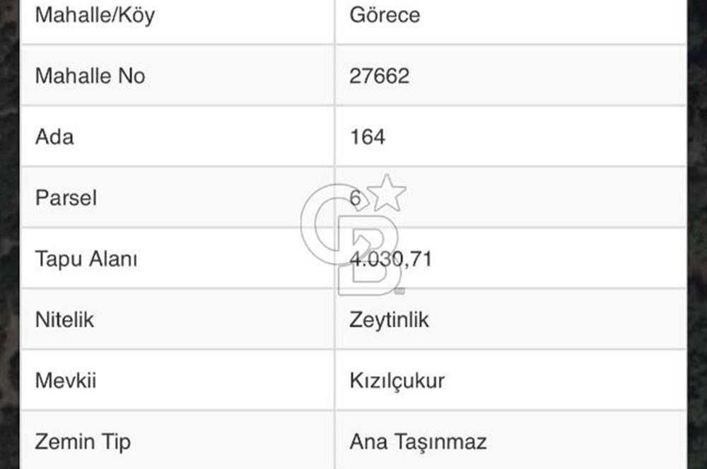 Menemen Görece Köyünde Yatırımlık Zeytinlik