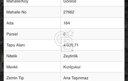 Menemen Görece Köyünde Yatırımlık Zeytinlik