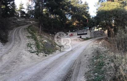 CB AMBIANCE'DAN MUDANYA YÖRÜKALİ'DE DENİZ MANZARALI ZEYTİNLİK