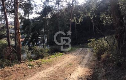 CB AMBIANCE'DAN MUDANYA YÖRÜKALİ'DE DENİZ MANZARALI ZEYTİNLİK