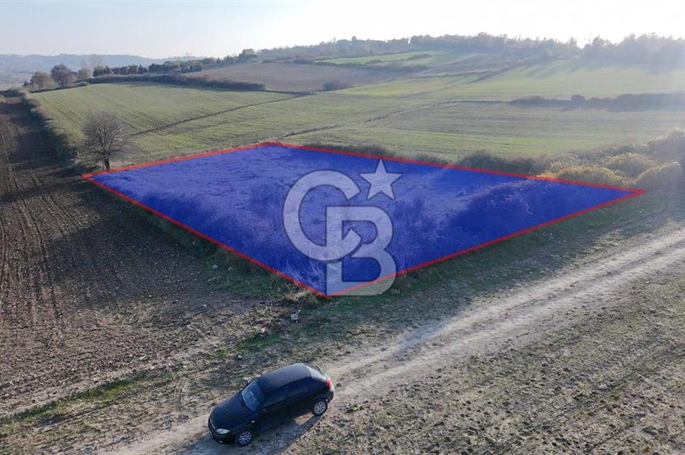 ARNAVUTKÖY TAYAKADIN DA SATILIK MÜSTAKİL ARSA