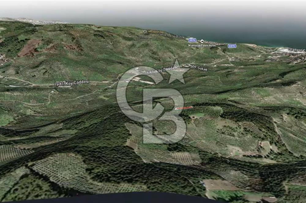 CB AMBIANCE'DAN MUDANYA YÖRÜKALİ'DE DENİZ MANZARALI ZEYTİNLİK