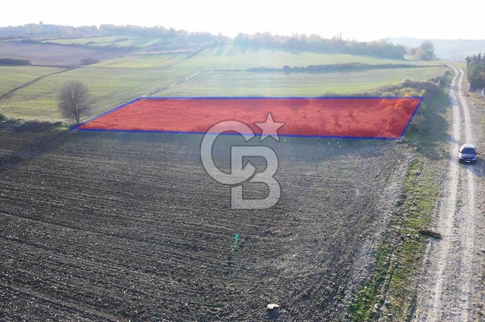 ARNAVUTKÖY TAYAKADIN DA SATILIK MÜSTAKİL ARSA