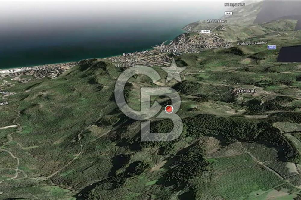 CB AMBIANCE'DAN MUDANYA YÖRÜKALİ'DE DENİZ MANZARALI ZEYTİNLİK