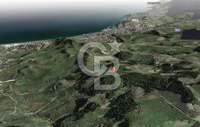 CB AMBIANCE'DAN MUDANYA YÖRÜKALİ'DE DENİZ MANZARALI ZEYTİNLİK
