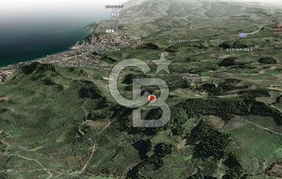 CB AMBIANCE'DAN MUDANYA YÖRÜKALİ'DE DENİZ MANZARALI ZEYTİNLİK
