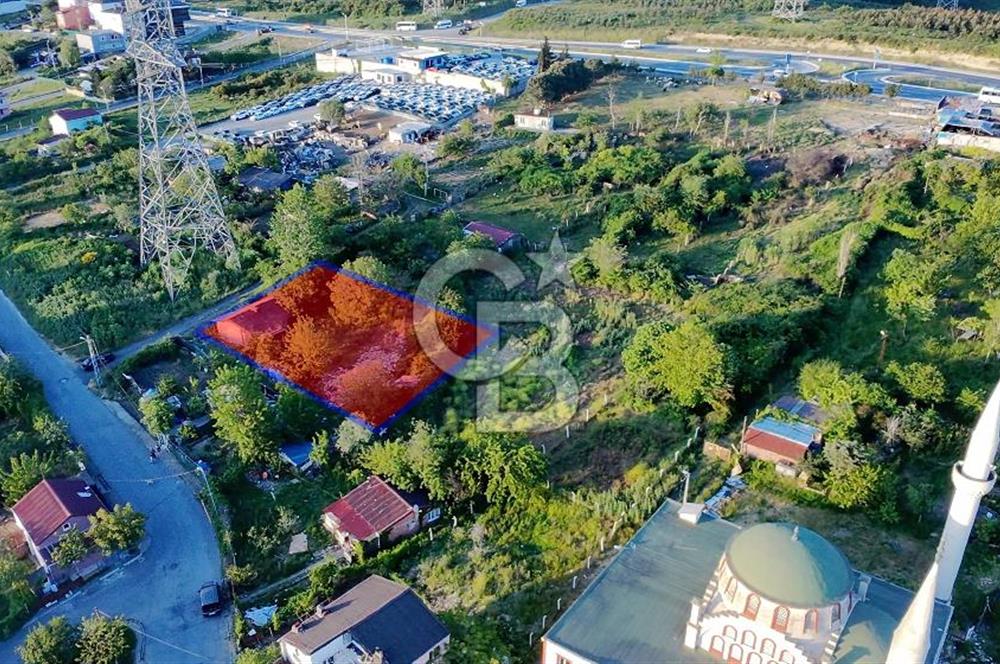 ARNAVUTKÖY TAŞOLUK TA 300 M2 HARİKA BİR PARSEL