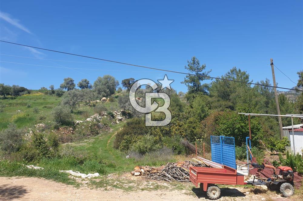 Muğla Menteşe Zeytinköy Mahallesinde Satılık İçinde Evi Olan Tarla