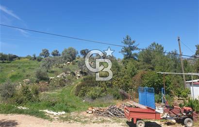 Muğla Menteşe Zeytinköy Mahallesinde Satılık İçinde Evi Olan Tarla