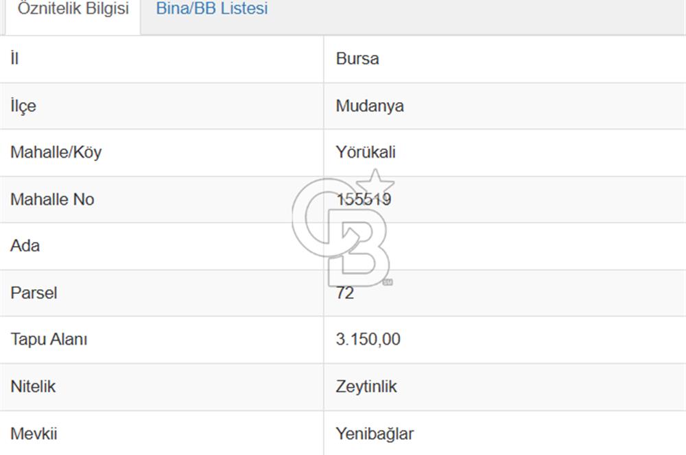 CB AMBIANCE'DAN MUDANYA YÖRÜKALİ'DE DENİZ MANZARALI ZEYTİNLİK
