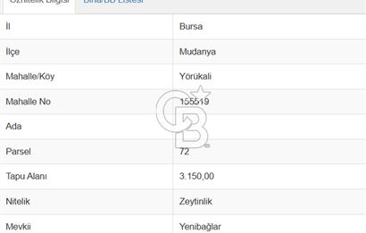 CB AMBIANCE'DAN MUDANYA YÖRÜKALİ'DE DENİZ MANZARALI ZEYTİNLİK