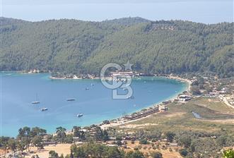 Muğla Menteşe Zeytinköy Mahallesinde Satılık İçinde Evi Olan Tarla