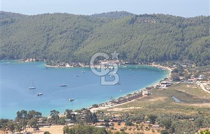 Muğla Menteşe Zeytinköy Mahallesinde Satılık İçinde Evi Olan Tarla