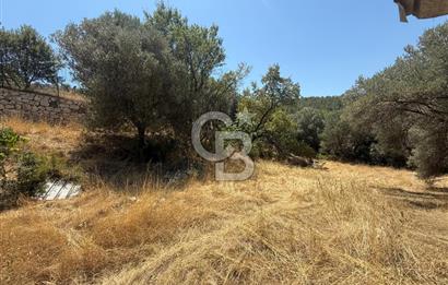 BUCA BATI ÇIKIŞINA 800 M. MESAFEDE ORMANIN İÇİNDE 1678 M² TARLA