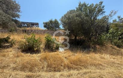 BUCA BATI ÇIKIŞINA 800 M. MESAFEDE ORMANIN İÇİNDE 1678 M² TARLA