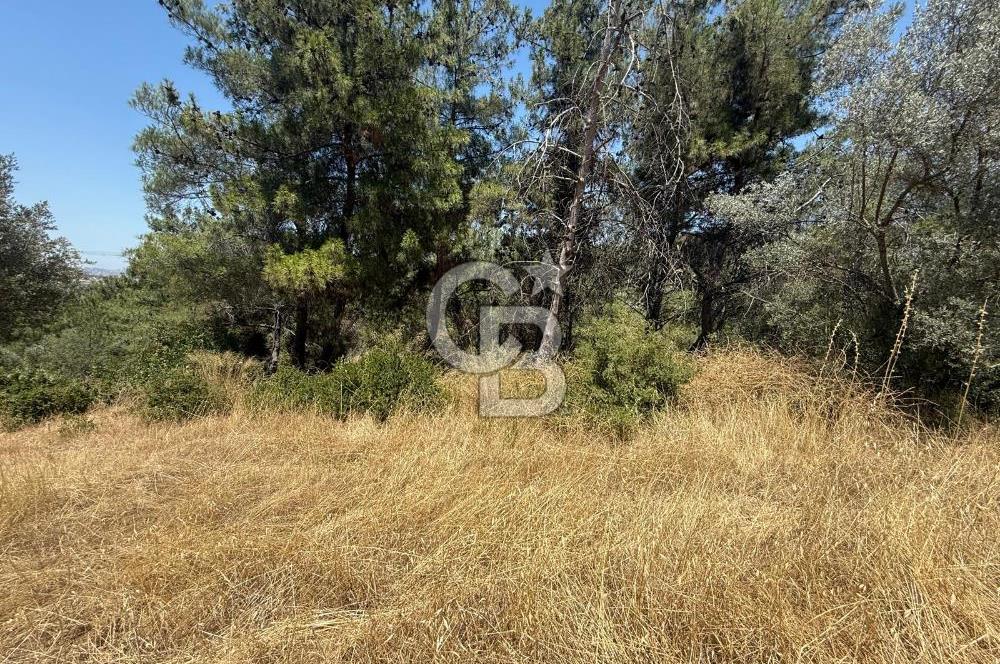 BUCA BATI ÇIKIŞINA 800 M. MESAFEDE ORMANIN İÇİNDE 1678 M² TARLA