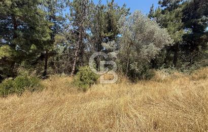 BUCA BATI ÇIKIŞINA 800 M. MESAFEDE ORMANIN İÇİNDE 1678 M² TARLA