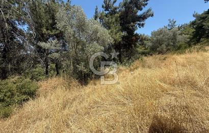 BUCA BATI ÇIKIŞINA 800 M. MESAFEDE ORMANIN İÇİNDE 1678 M² TARLA