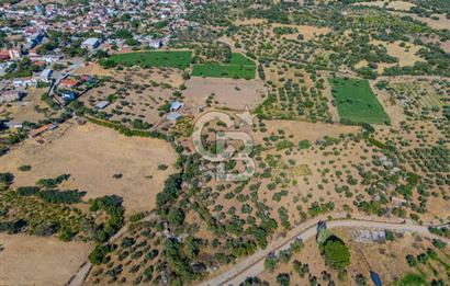 BOZCAADA'YA YAKIN, DENİZE 5.5 KM, DOĞAYLA İÇ İÇE SATILIK TARLA!