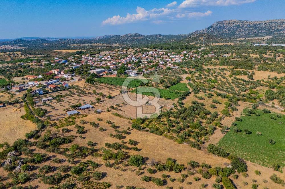 BOZCAADA'YA YAKIN, DENİZE 5.5 KM, DOĞAYLA İÇ İÇE SATILIK TARLA!