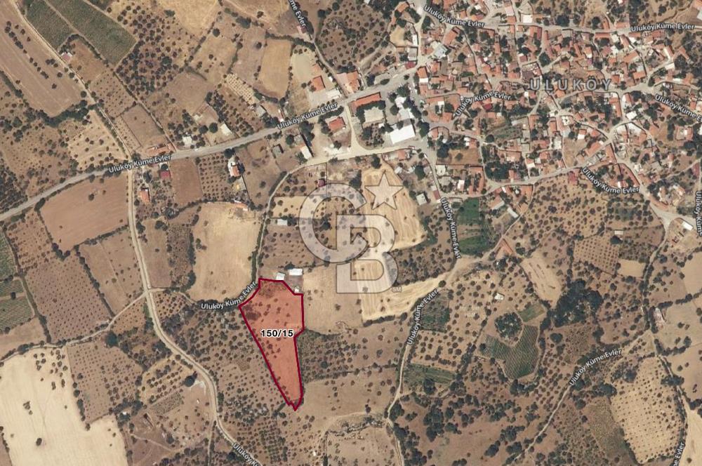 BOZCAADA'YA YAKIN, DENİZE 5.5 KM, DOĞAYLA İÇ İÇE SATILIK TARLA!
