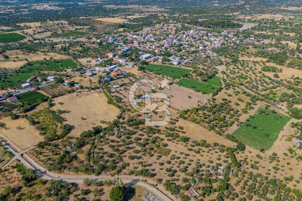 BOZCAADA'YA YAKIN, DENİZE 5.5 KM, DOĞAYLA İÇ İÇE SATILIK TARLA!
