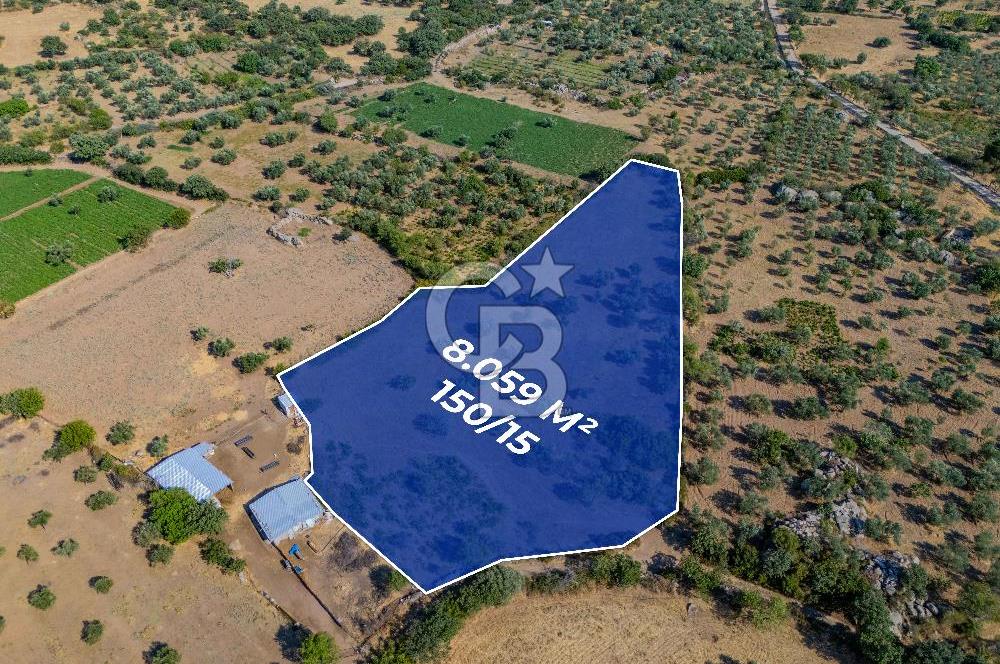 BOZCAADA'YA YAKIN, DENİZE 5.5 KM, DOĞAYLA İÇ İÇE SATILIK TARLA!