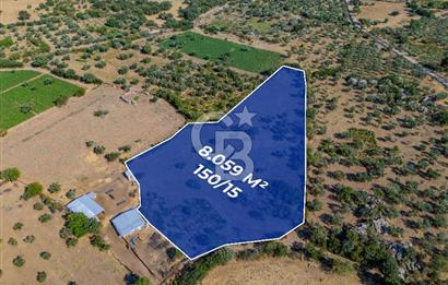 BOZCAADA'YA YAKIN, DENİZE 5.5 KM, DOĞAYLA İÇ İÇE SATILIK TARLA!