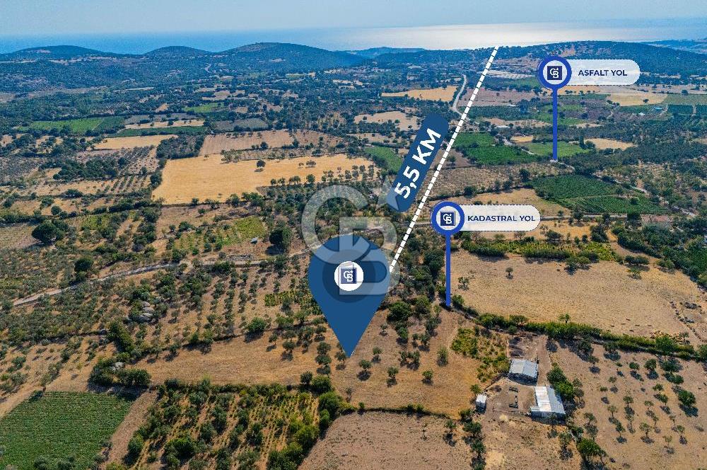 BOZCAADA'YA YAKIN, DENİZE 5.5 KM, DOĞAYLA İÇ İÇE SATILIK TARLA!
