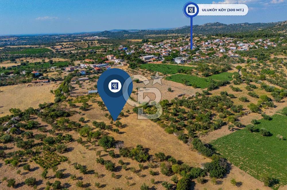 BOZCAADA'YA YAKIN, DENİZE 5.5 KM, DOĞAYLA İÇ İÇE SATILIK TARLA!