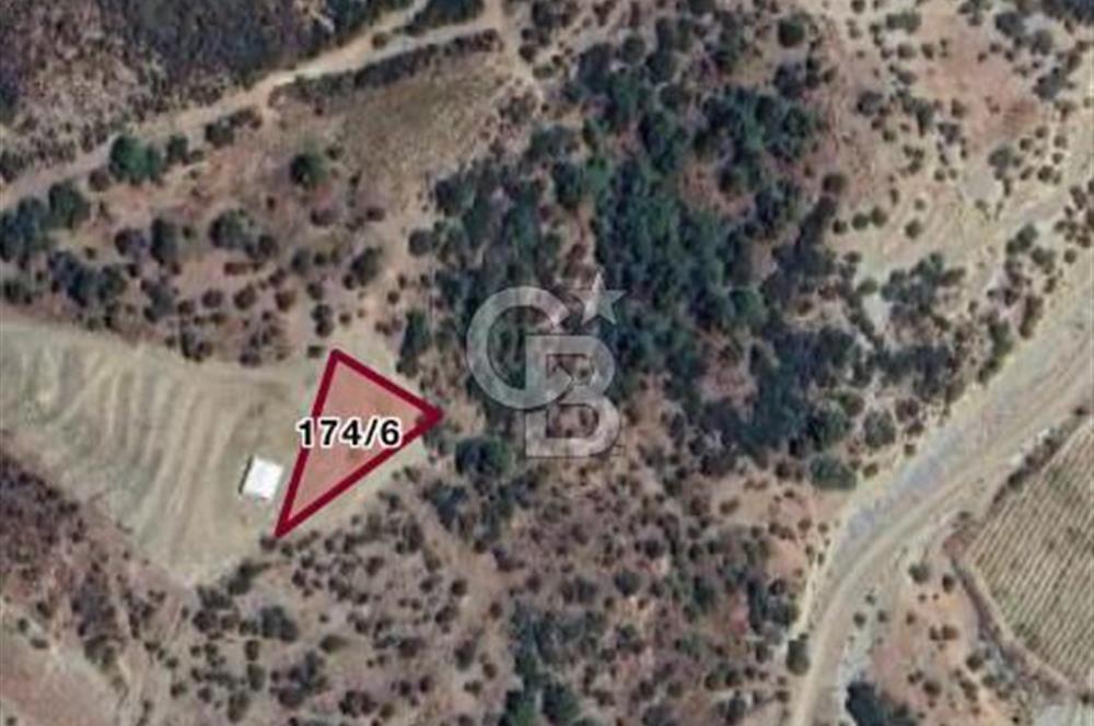 SEFERİHİSAR BEYLER KÖYÜNDE 1117M2 SATILIK ZEYTİNLİK