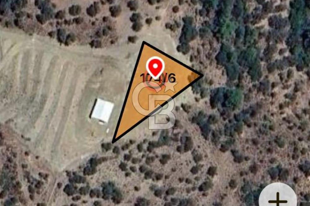 SEFERİHİSAR BEYLER KÖYÜNDE 1117M2 SATILIK ZEYTİNLİK