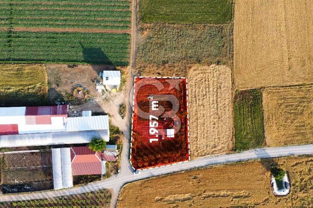 Satılık 1.957 m² Bakımlı Tarla Su, Elektrik Var, Sondaja Uygun