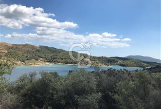 SEFERİHİSAR BEYLER KÖYÜNDE 1117M2 SATILIK ZEYTİNLİK