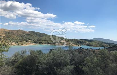 SEFERİHİSAR BEYLER KÖYÜNDE 1117M2 SATILIK ZEYTİNLİK