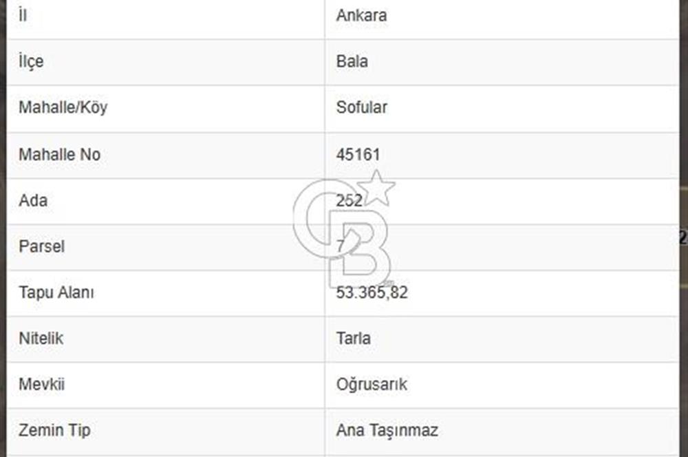 ANKARA BALA SOFULAR DA 53.365,82 m2 SATILIK TARLA
