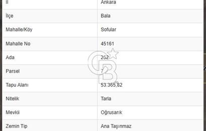ANKARA BALA SOFULAR DA 53.365,82 m2 SATILIK TARLA