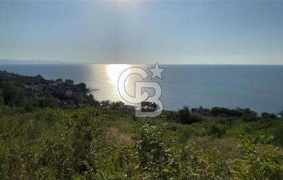 ORDU PERŞEMBE ÇAYTEPEDE PANORAMİK DENİZ MANZARALI ARSA 