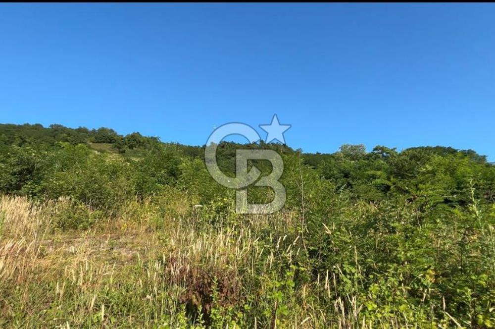 ORDU PERŞEMBE ÇAYTEPEDE PANORAMİK DENİZ MANZARALI ARSA 