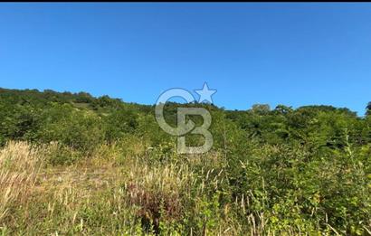 ORDU PERŞEMBE ÇAYTEPEDE PANORAMİK DENİZ MANZARALI ARSA 