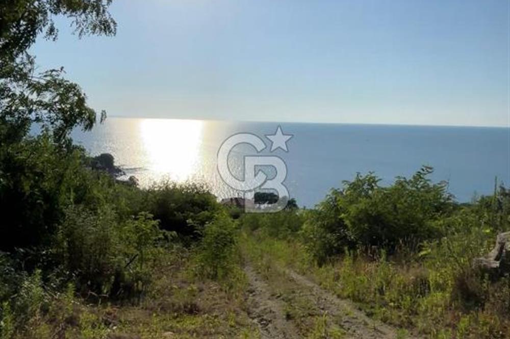 ORDU PERŞEMBE ÇAYTEPEDE PANORAMİK DENİZ MANZARALI ARSA 