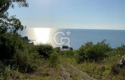 ORDU PERŞEMBE ÇAYTEPEDE PANORAMİK DENİZ MANZARALI ARSA 