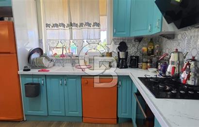  CB CITY'DEN ESKİŞEHİR GAZİPAŞA'DA SATILIK TARLA VE BAĞ EVİ 