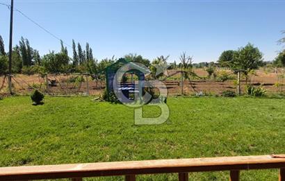  CB CITY'DEN ESKİŞEHİR GAZİPAŞA'DA SATILIK TARLA VE BAĞ EVİ 