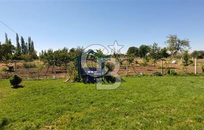  CB CITY'DEN ESKİŞEHİR GAZİPAŞA'DA SATILIK TARLA VE BAĞ EVİ 