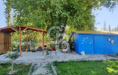  CB CITY'DEN ESKİŞEHİR GAZİPAŞA'DA SATILIK TARLA VE BAĞ EVİ 