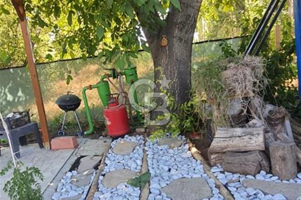  CB CITY'DEN ESKİŞEHİR GAZİPAŞA'DA SATILIK TARLA VE BAĞ EVİ 