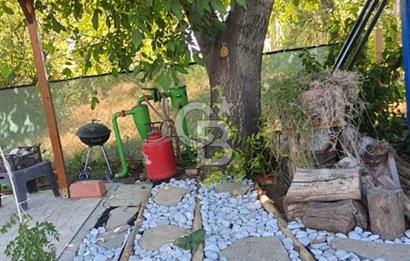  CB CITY'DEN ESKİŞEHİR GAZİPAŞA'DA SATILIK TARLA VE BAĞ EVİ 