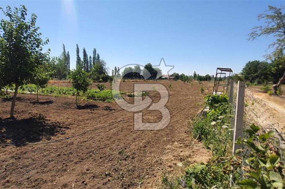  CB CITY'DEN ESKİŞEHİR GAZİPAŞA'DA SATILIK TARLA VE BAĞ EVİ 