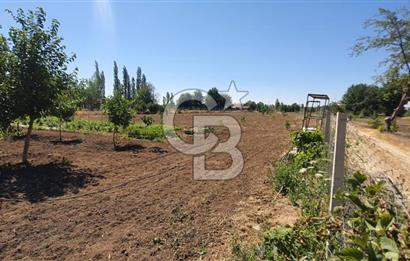  CB CITY'DEN ESKİŞEHİR GAZİPAŞA'DA SATILIK TARLA VE BAĞ EVİ 